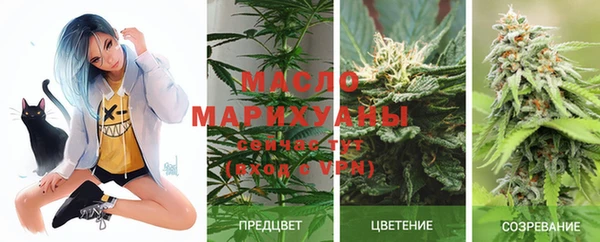 ПСИЛОЦИБИНОВЫЕ ГРИБЫ Абаза