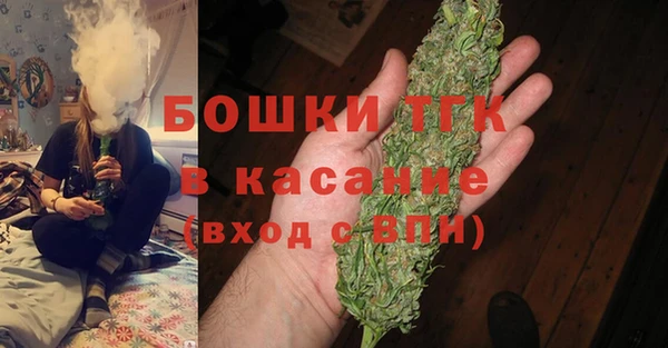 ПСИЛОЦИБИНОВЫЕ ГРИБЫ Абаза